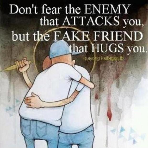 Don't fear the enemy that attacks you, but the fake friend that hugs you Picture Quote #2