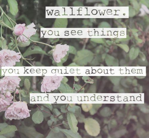 Wallflower. You see things, you keep quiet about them, and you understand Picture Quote #1