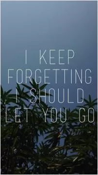 I keep forgetting I should let you go Picture Quote #1