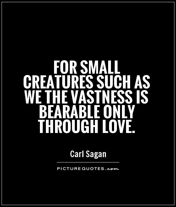 For small creatures such as we the vastness is bearable only through love Picture Quote #1