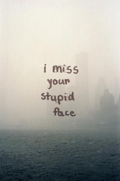 I miss your stupid face Picture Quote #1