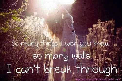 So many things I wish you knew, so many walls I can't break through Picture Quote #1