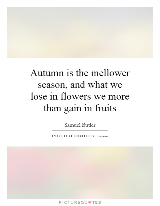 Autumn is the mellower season, and what we lose in flowers we more than gain in fruits Picture Quote #1