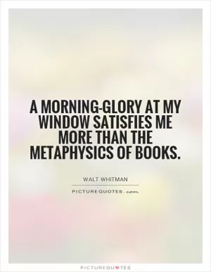 A morning-glory at my window satisfies me more than the metaphysics of books Picture Quote #1