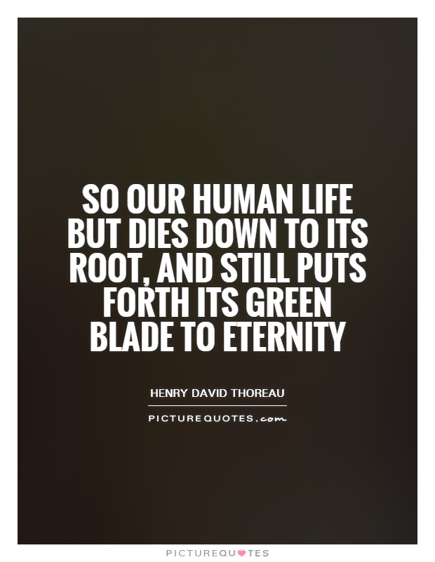 So our human life but dies down to its root, and still puts forth its green blade to eternity Picture Quote #1