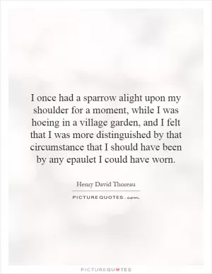 I once had a sparrow alight upon my shoulder for a moment, while I was hoeing in a village garden, and I felt that I was more distinguished by that circumstance that I should have been by any epaulet I could have worn Picture Quote #1