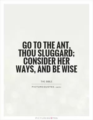 Go to the ant, thou sluggard; consider her ways, and be wise Picture Quote #1