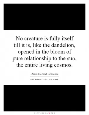 No creature is fully itself till it is, like the dandelion, opened in the bloom of pure relationship to the sun, the entire living cosmos Picture Quote #1