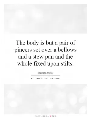 The body is but a pair of pincers set over a bellows and a stew pan and the whole fixed upon stilts Picture Quote #1