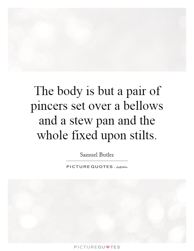 The body is but a pair of pincers set over a bellows and a stew pan and the whole fixed upon stilts Picture Quote #1