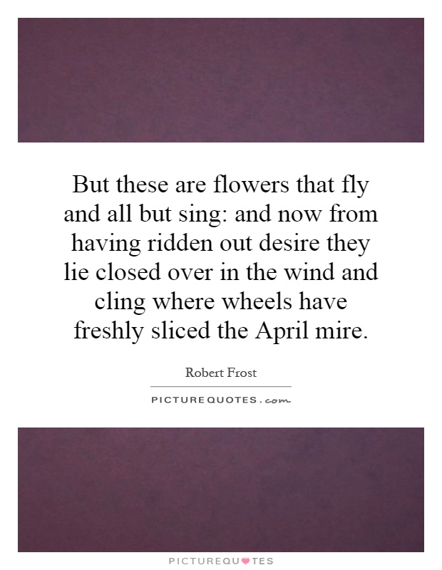 But these are flowers that fly and all but sing: and now from having ridden out desire they lie closed over in the wind and cling where wheels have freshly sliced the April mire Picture Quote #1