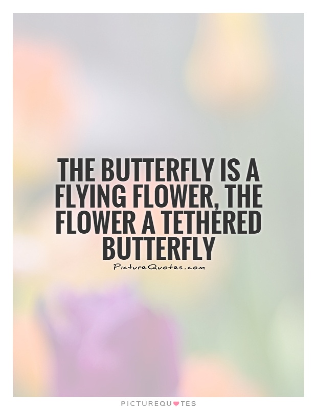 The butterfly is a flying flower, the flower a tethered butterfly Picture Quote #1