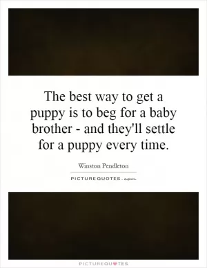 The best way to get a puppy is to beg for a baby brother - and they'll settle for a puppy every time Picture Quote #1