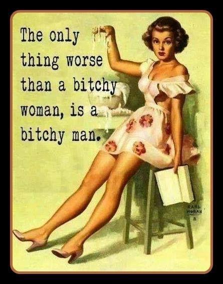 The only thing worse that a bitchy woman is a bitchy man Picture Quote #1