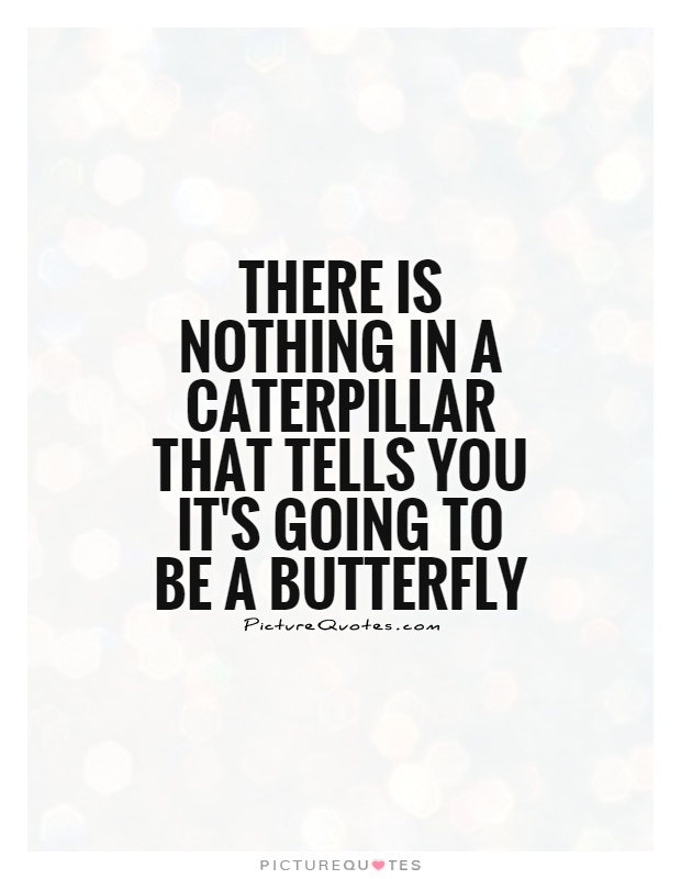 There is nothing in a caterpillar that tells you it's going to be a butterfly Picture Quote #1