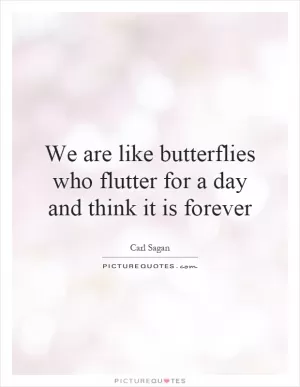 We are like butterflies who flutter for a day and think it is forever Picture Quote #1