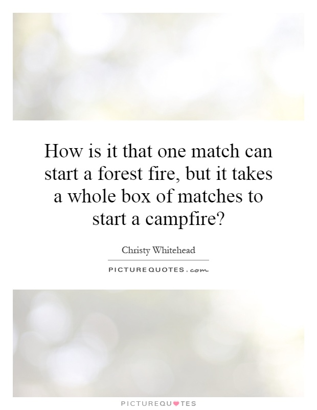 How is it that one match can start a forest fire, but it takes a whole box of matches to start a campfire? Picture Quote #1