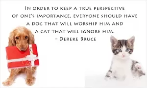 In order to keep a true perspective of one's importance, everyone should have a dog that will worship him and a cat that will ignore him Picture Quote #1