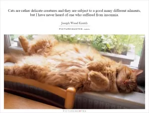Cats are rather delicate creatures and they are subject to a good many different ailments, but I have never heard of one who suffered from insomnia Picture Quote #1