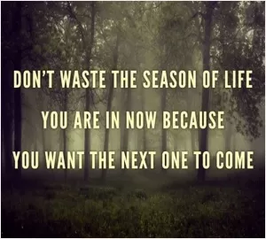 Don't waste the season of life you are in now because you want the next one to come Picture Quote #1