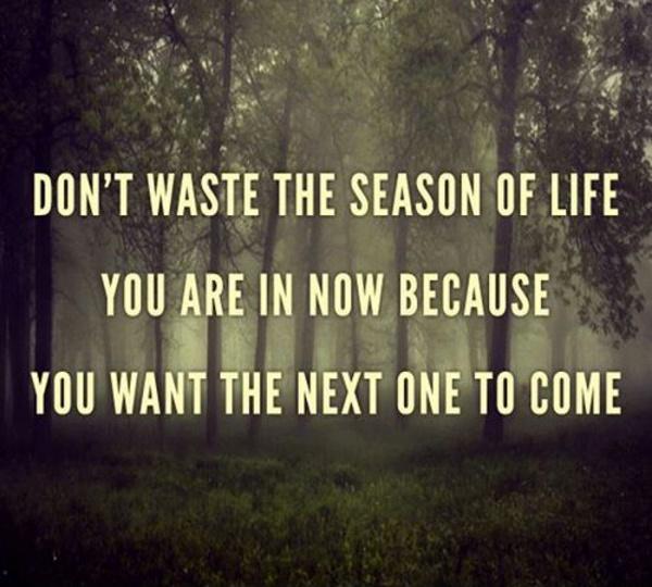 Don't waste the season of life you are in now because you want the next one to come Picture Quote #1