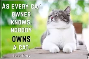 As every cat owner knows, nobody owns a cat Picture Quote #1