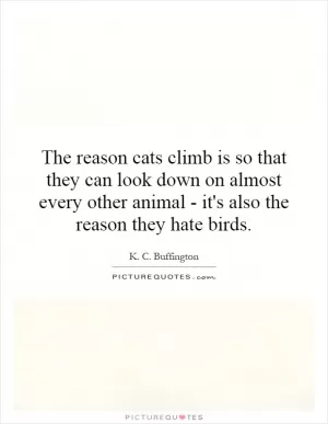The reason cats climb is so that they can look down on almost every other animal - it's also the reason they hate birds Picture Quote #1