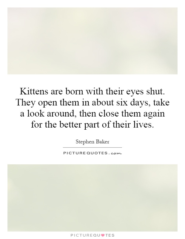 Kittens are born with their eyes shut. They open them in about six days, take a look around, then close them again for the better part of their lives Picture Quote #1
