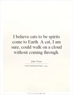 I believe cats to be spirits come to Earth. A cat, I am sure, could walk on a cloud without coming through Picture Quote #1