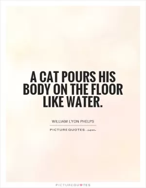 A cat pours his body on the floor like water Picture Quote #1