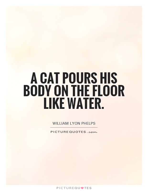 A cat pours his body on the floor like water Picture Quote #1