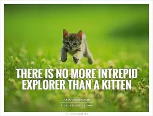 There is no more intrepid explorer than a kitten Picture Quote #1