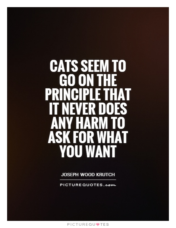 Cats seem to go on the principle that it never does any harm to ask for what you want Picture Quote #1