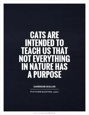 Cats are intended to teach us that not everything in nature has a purpose Picture Quote #1