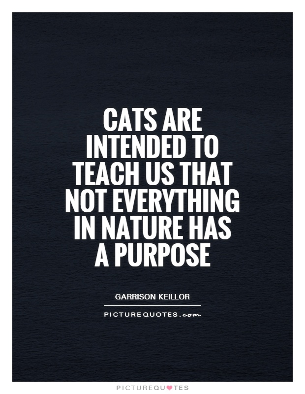 Cats are intended to teach us that not everything in nature has a purpose Picture Quote #1