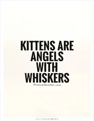 Kittens are angels with whiskers Picture Quote #1