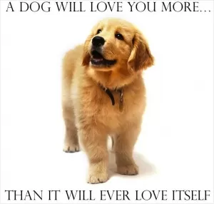 A dog will love you more Picture Quote #1