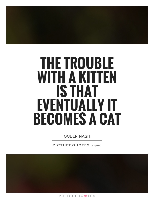 The trouble with a kitten is that eventually it becomes a cat Picture Quote #1