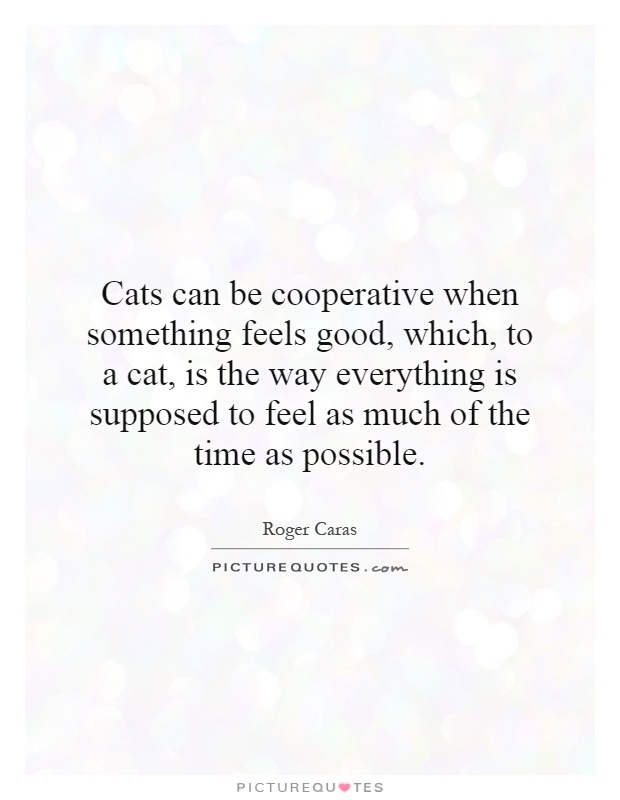 Cats can be cooperative when something feels good, which, to a cat, is the way everything is supposed to feel as much of the time as possible Picture Quote #1
