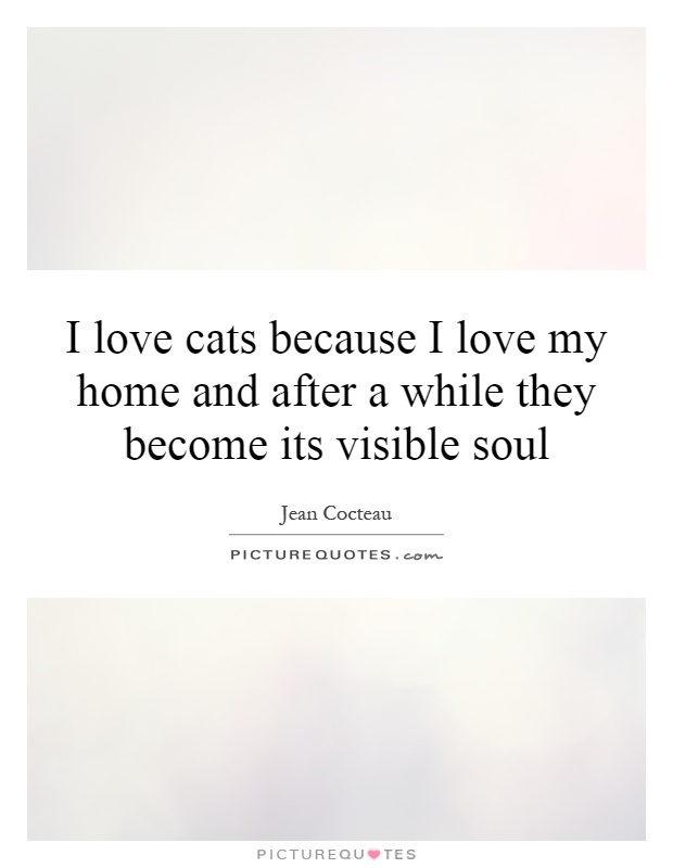 I love cats because I love my home and after a while they become its visible soul Picture Quote #1