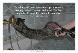 To bathe a cat takes brute force, perseverance, courage of conviction - and a cat. The last ingredient is usually hardest to come by Picture Quote #1