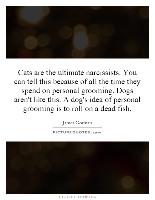 Cats are the ultimate narcissists. You can tell this because of all the time they spend on personal grooming. Dogs aren't like this. A dog's idea of personal grooming is to roll on a dead fish Picture Quote #1