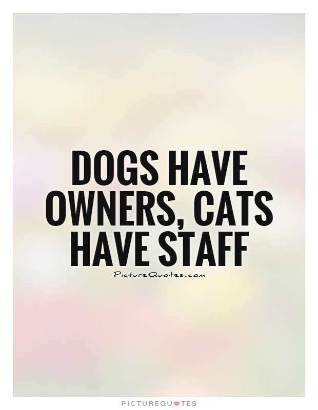Dogs have owners, cats have staff Picture Quote #1