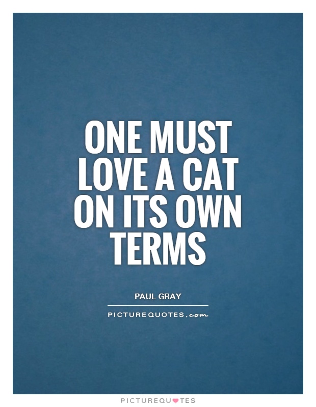 One must love a cat on its own terms Picture Quote #1