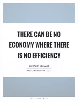 There can be no economy where there is no efficiency Picture Quote #1
