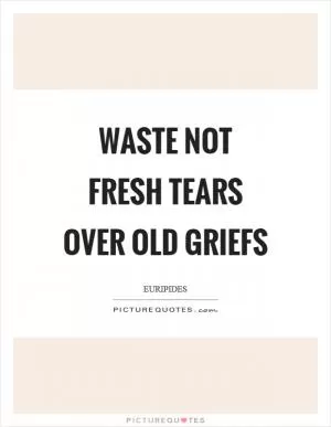 Waste not fresh tears over old griefs Picture Quote #1
