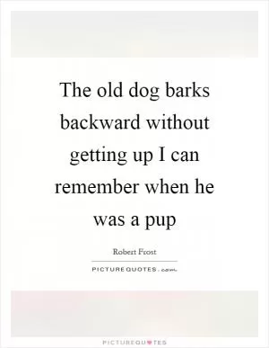 The old dog barks backward without getting up I can remember when he was a pup Picture Quote #1