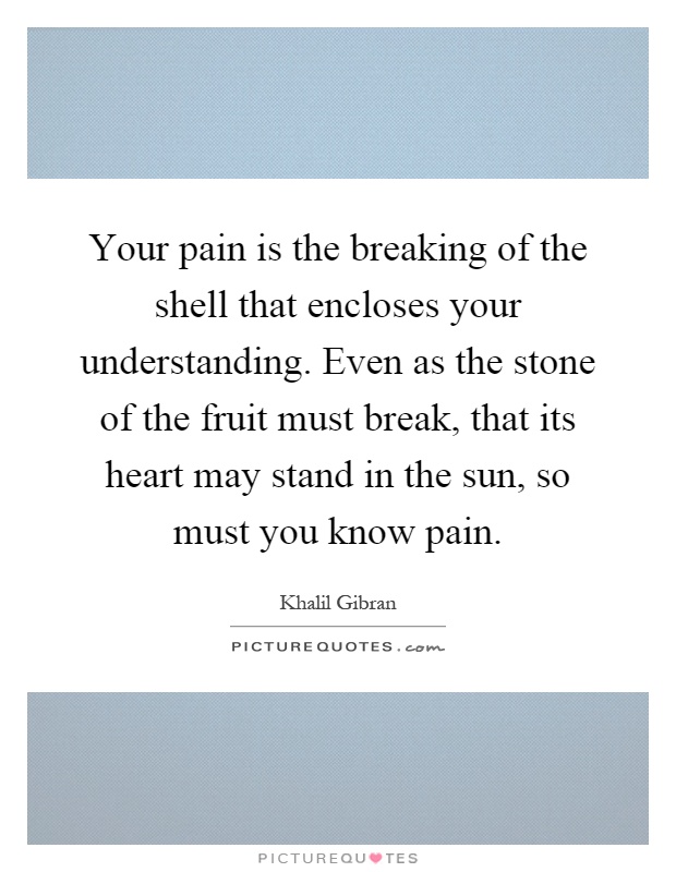 Your pain is the breaking of the shell that encloses your understanding. Even as the stone of the fruit must break, that its heart may stand in the sun, so must you know pain Picture Quote #1