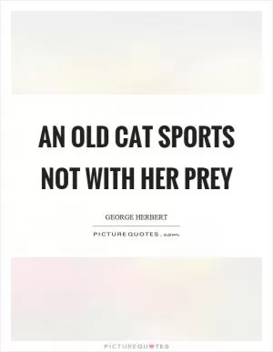 An old cat sports not with her prey Picture Quote #1