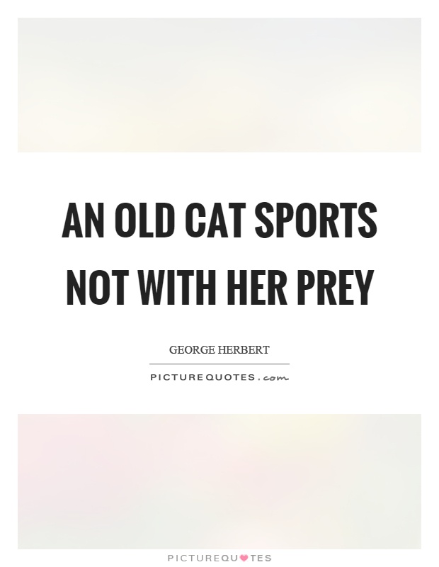 An old cat sports not with her prey Picture Quote #1